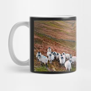 Swaledale Sheep in Weardale Mug